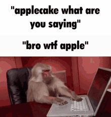 Applecake mehcc