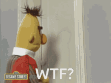 Bert and ernie what the fuck
