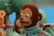 Monkey shocked