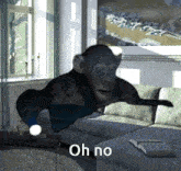 Oh no planet of the apes