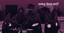 Omg bro wtf wtf