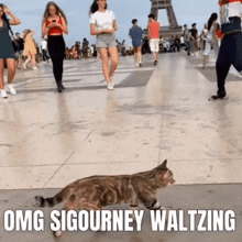 Omg Sigourney Waltzing Sigourney