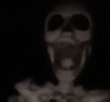 Skull wtf
