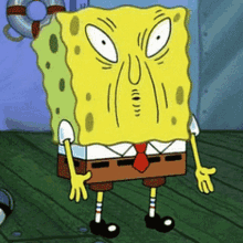 Spongebob wtf
