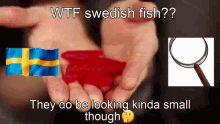 Sweden swedish fish