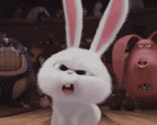 Wtf bunny
