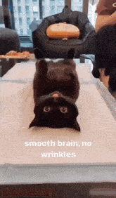 %d0%ba%d0%be%d1%82 %d0%b1%d0%b0%d0%bb%d0%b1%d0%b5%d1%81